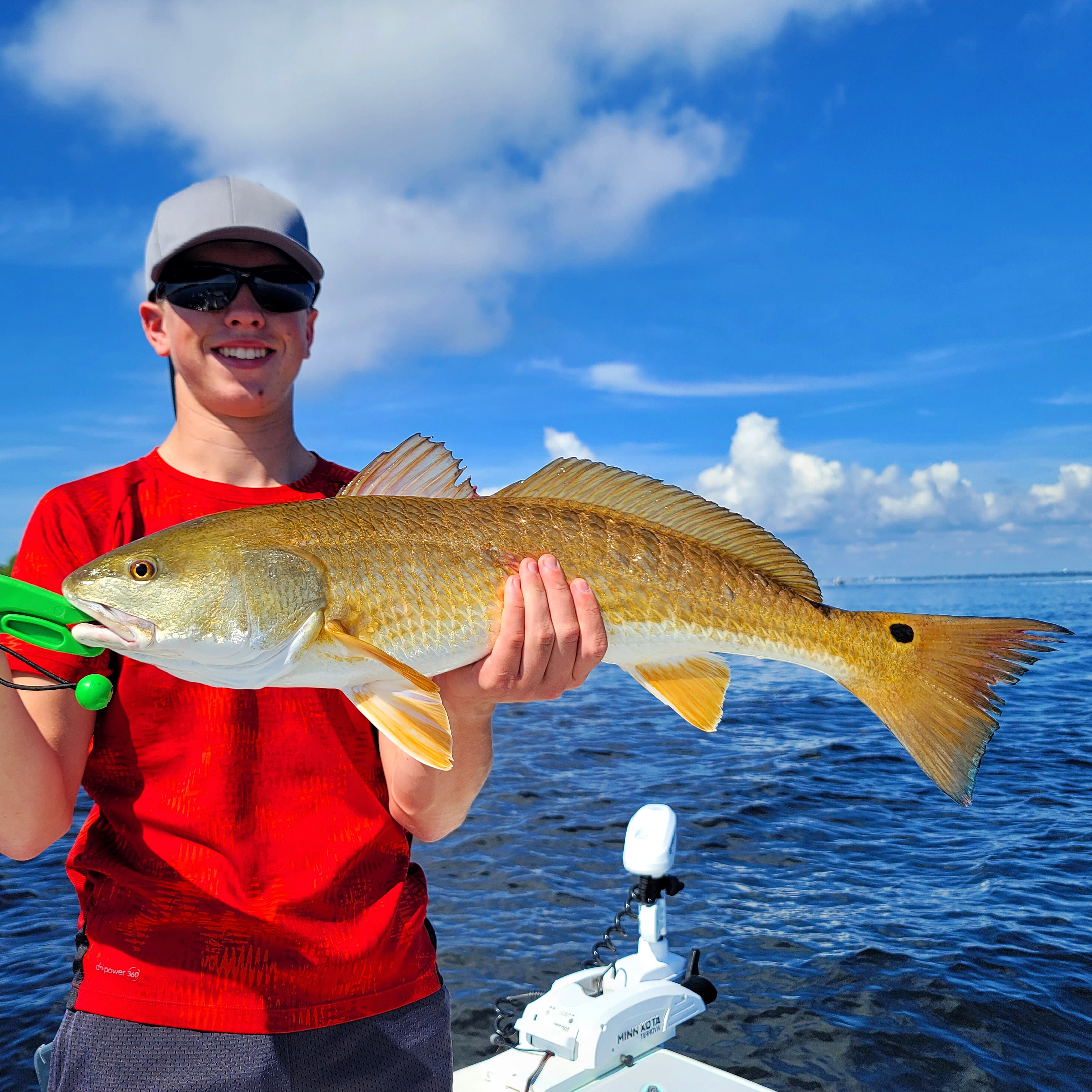 Leurre souple Fishus Shade 8,5cm - Fish In Golfe